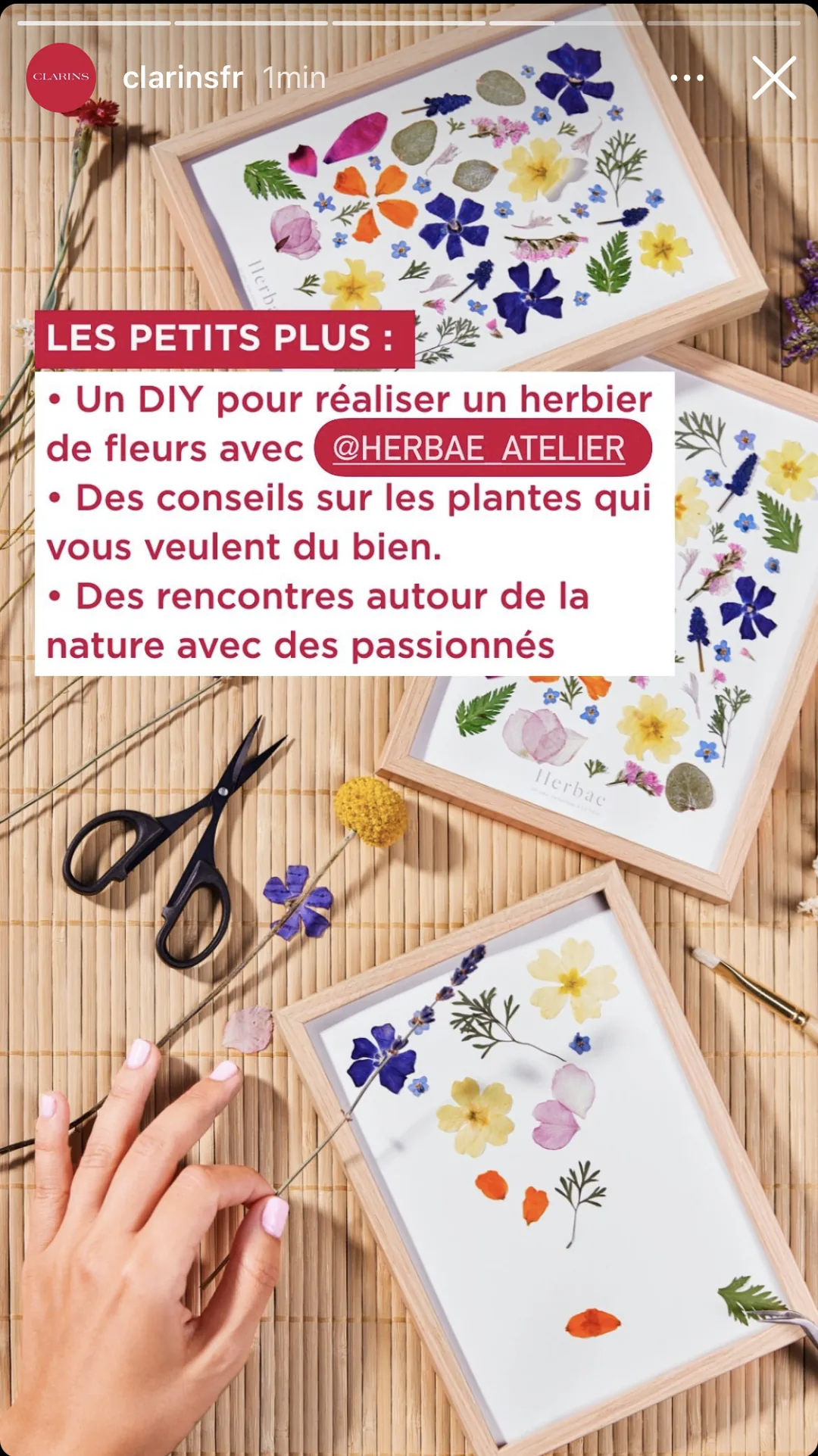 Story consacrée à l'atelier herbier à faire soi-même