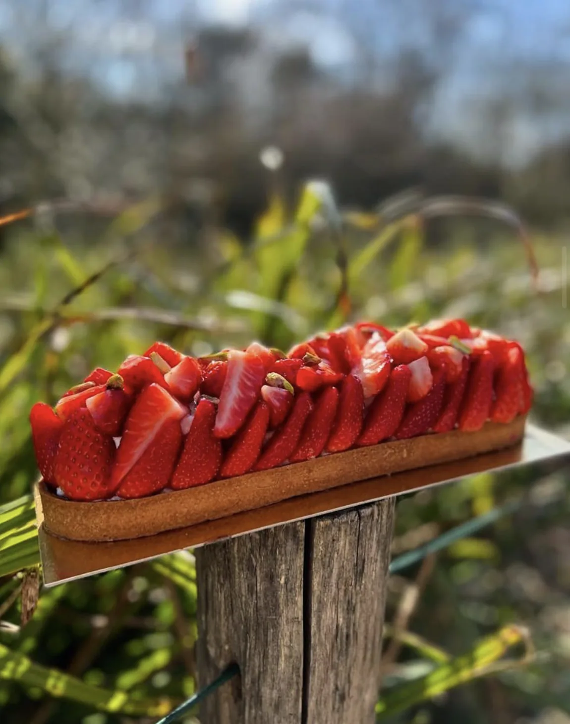 Une tarte aux fraises photographiée en extérieur, fond de végétation